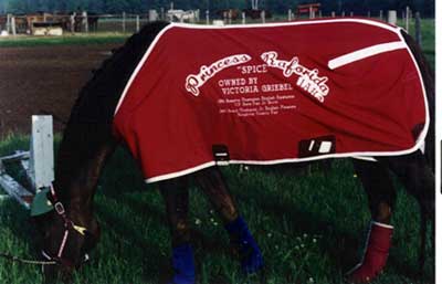 Monogrammed Horse Blanket